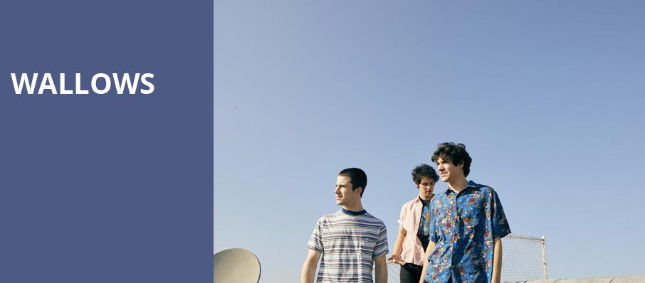 Wallows, Michigan Lottery Amphitheatre At Freedom Hill, Detroit