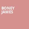 Boney James, Music Hall Center, Detroit