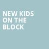 New Kids On The Block, Pine Knob Music Theatre, Detroit