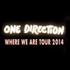 One Direction at the Fox Theatre, Detroit