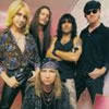 Great White