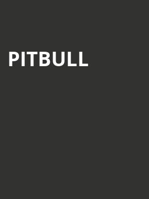 Pitbull, DTE Energy Music Center, Detroit
