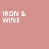 Iron Wine, Cathedral Theatre, Detroit