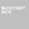 Backstreet Boys, DTE Energy Music Center, Detroit
