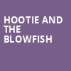 Hootie and the Blowfish, Pine Knob Music Theatre, Detroit
