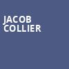 Jacob Collier, Majestic Theater, Detroit