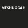 Meshuggah, Royal Oak Music Theatre, Detroit