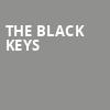 The Black Keys, DTE Energy Music Center, Detroit
