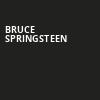 Bruce Springsteen, Little Caesars Arena, Detroit