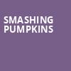 Smashing Pumpkins, Pine Knob Music Theatre, Detroit